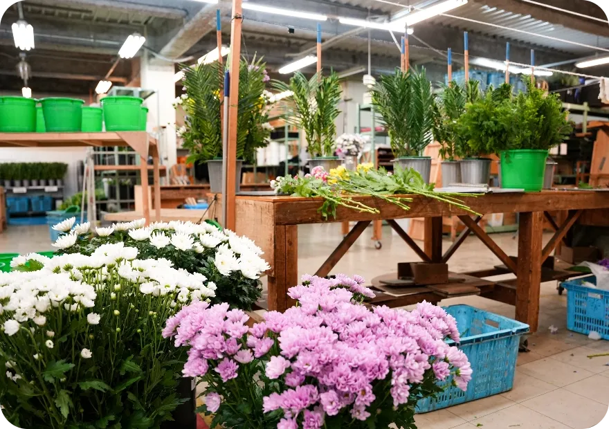 オフィスの写真