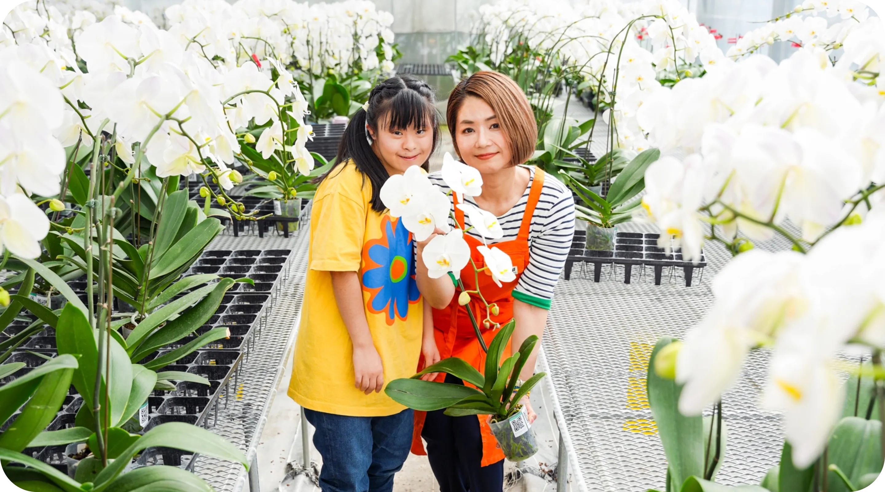 外商部門担当者の写真