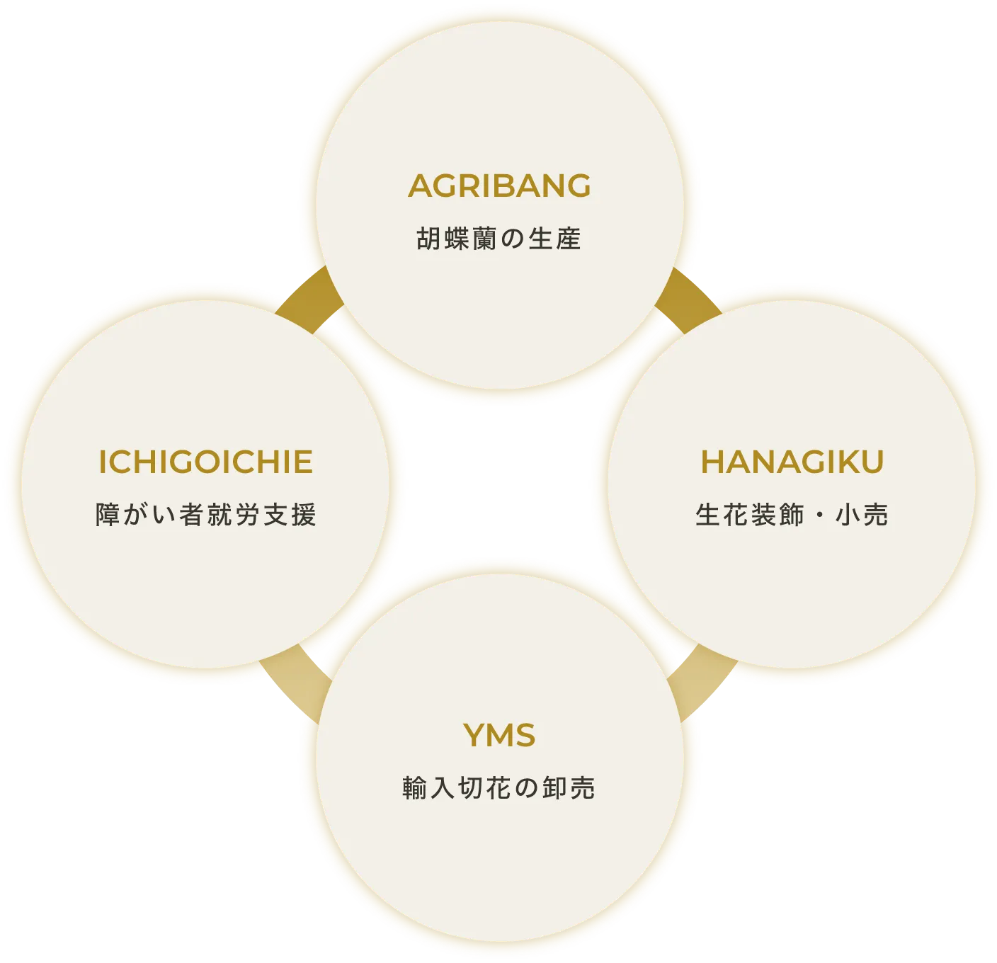 胡蝶蘭の生産、生花装飾・小売、輸入切花の卸売、障がい者就労支援